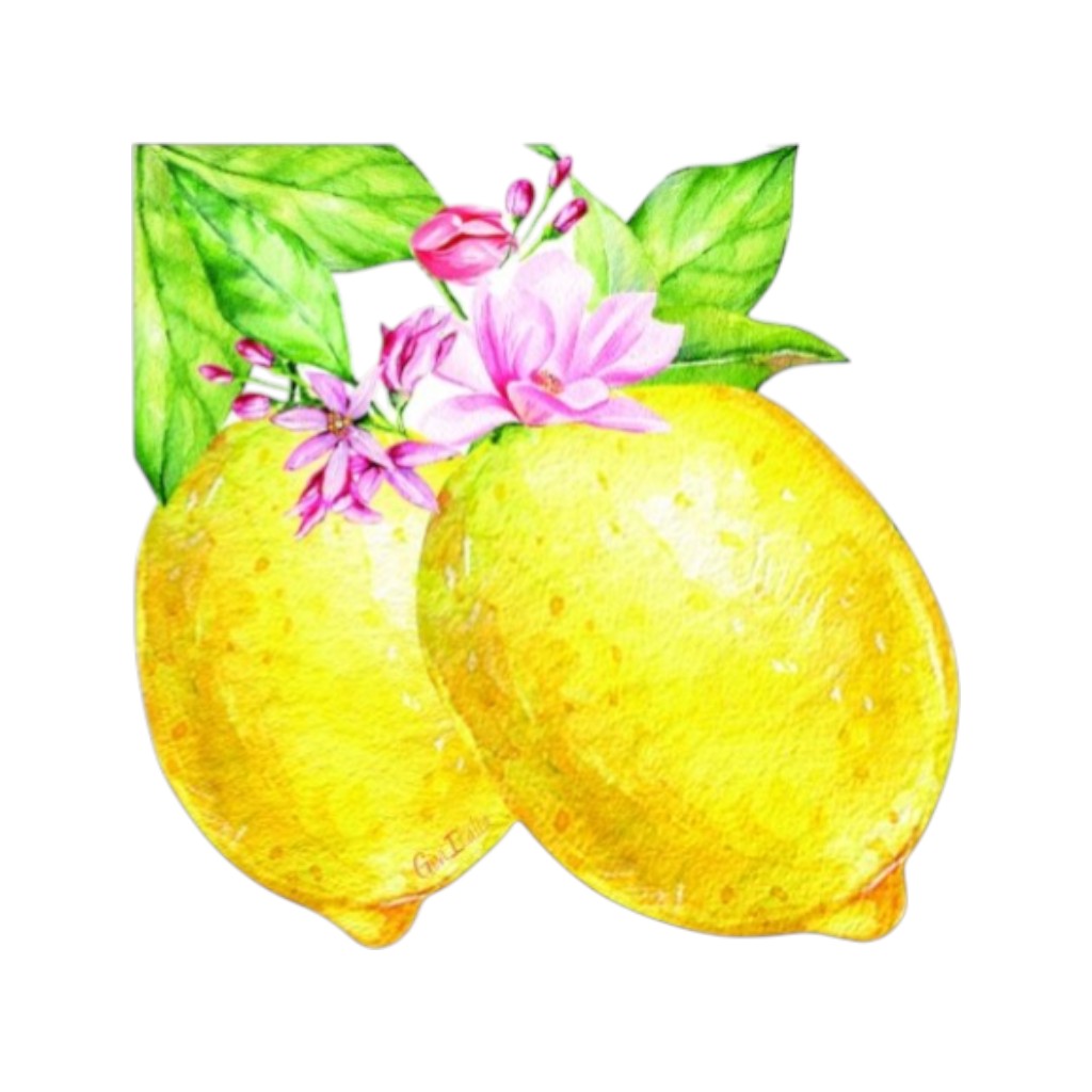 Lemony Servietten 33x33cm, 16 Stück